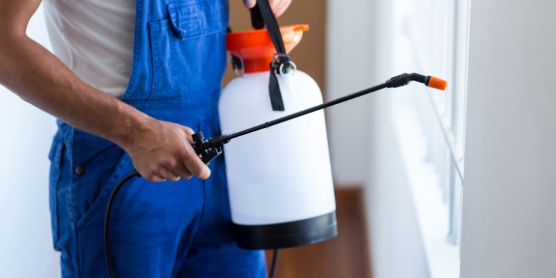 Como fazer dedetização em casa em Itaquaquecetuba