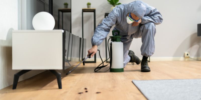 Quanto Tempo Dura Uma Dedetização em Itaquaquecetuba? Confira! Quanto tempo dura uma dedetização em Itaquaquecetuba?